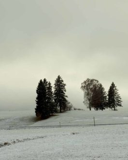 Winterlandschaft, Hopfen am See 1 F4 Framed Bilder