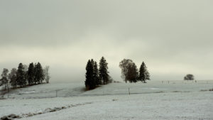 Winterlandschaft, Hopfen am See 1 F4