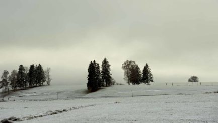 Winterlandschaft, Hopfen am See 1 F4