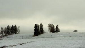 Winterlandschaft, Hopfen am See 1