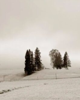 Winterlandschaft, Hopfen am See 1 F4 Sepia, Framed Bilder
