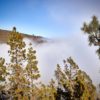 Der Teide im Nebel (Wolken) - Teide Nationalpark 1