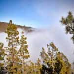 Der Teide im Nebel (Wolken) - Nationalpark 1