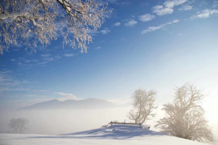 Winterlandschaft, Forggensee 1