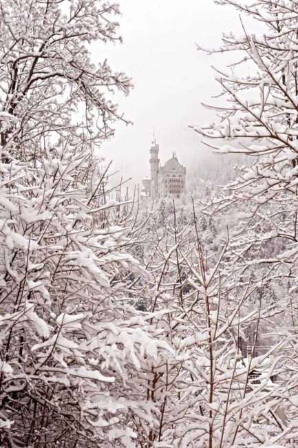 Schloss Neuschwanstein im Winter 9 F5