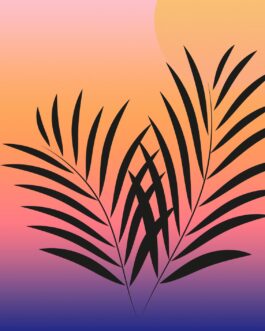 Sunset palma