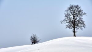 Minimal Winterlandschaft Hopfensee 3