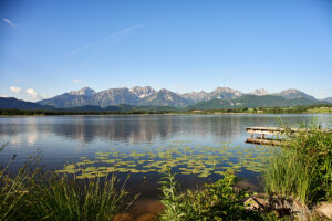 Hopfensee mit Seerosen und Alpenpanorama