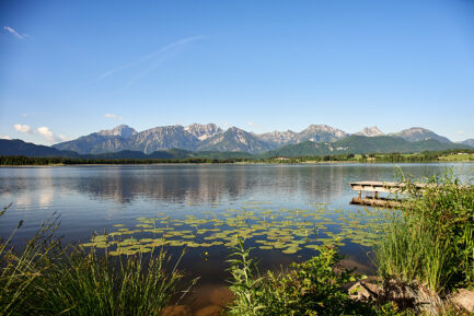 Hopfensee mit Seerosen und Alpenpanorama