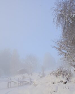 Winterlandschaft im Allgäu