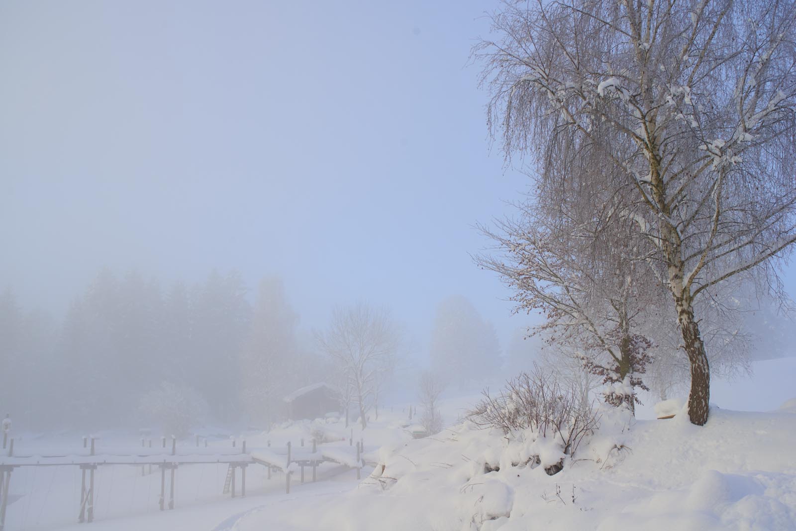 Winterlandschaft im Allgäu