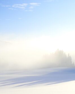 Verschneite Landschaft im Nebel im Allgäu