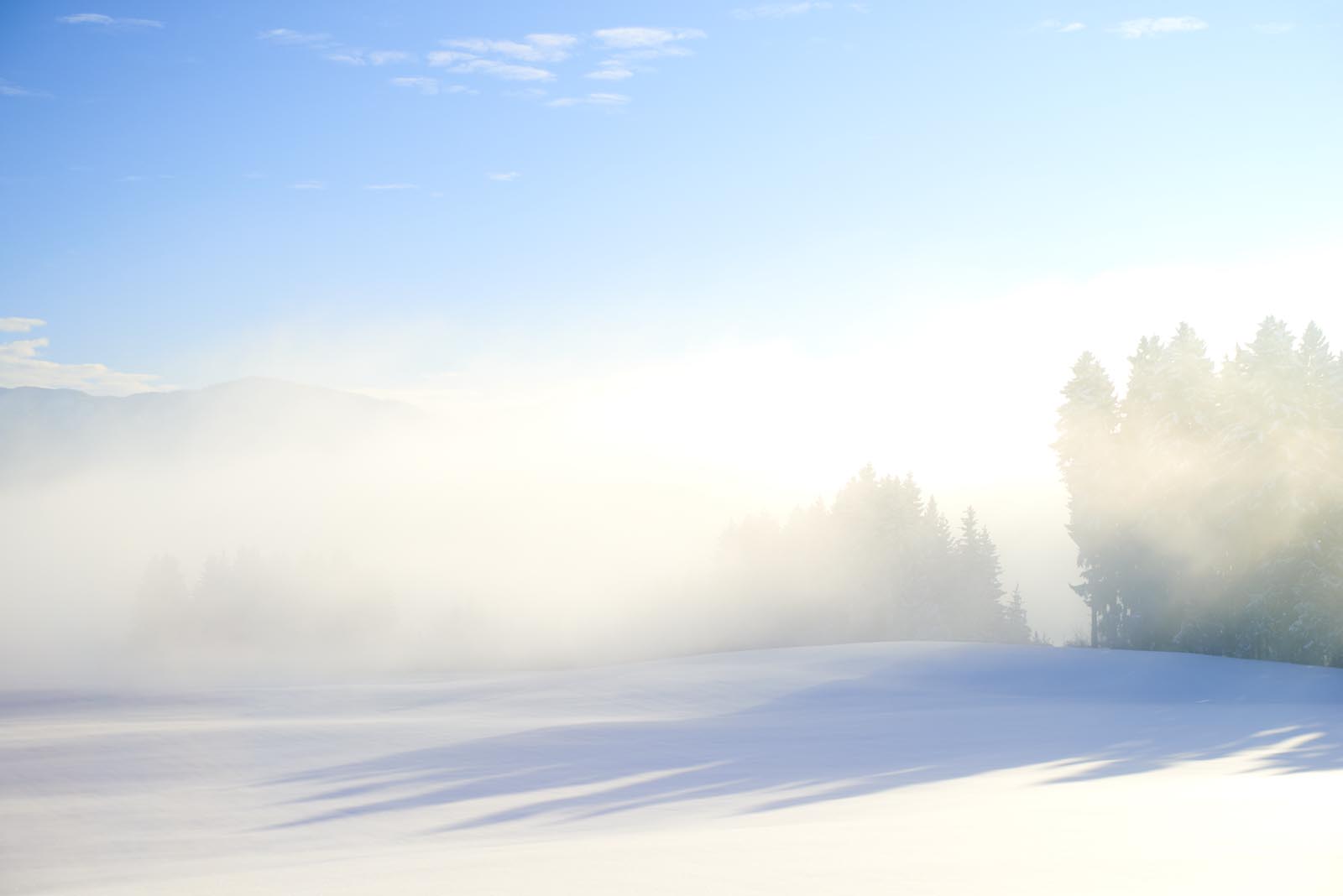 Verschneite Landschaft im Nebel im Allgäu