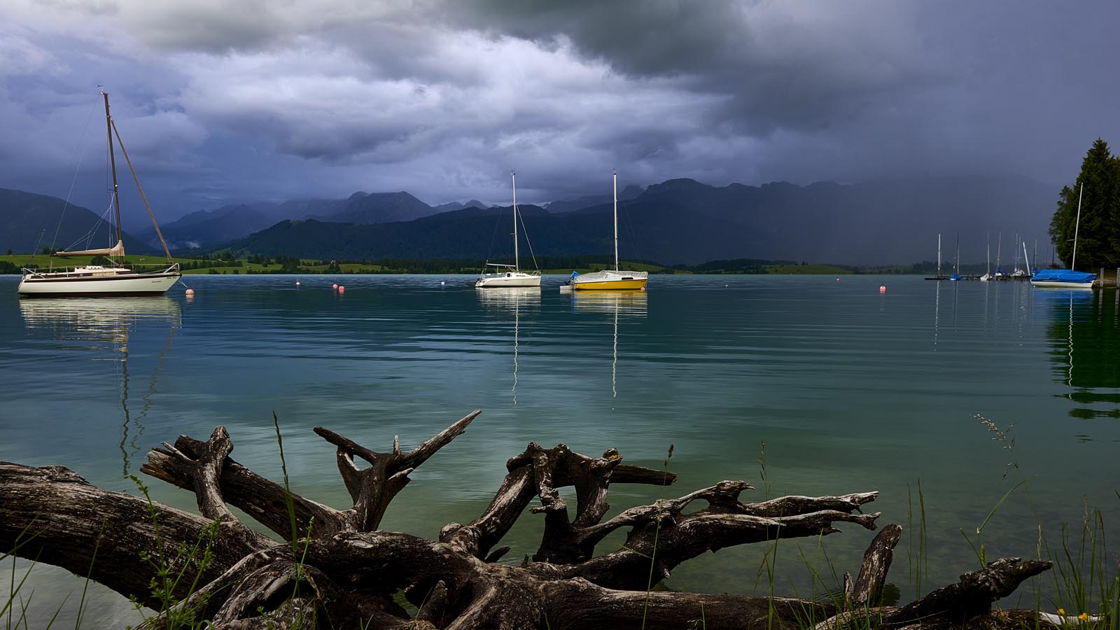 Segelboote auf dem Forggensee mit treibendem Holz und stürmischem Himmel fineart print