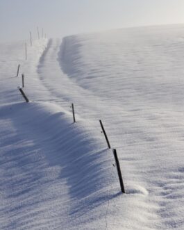 Verschneite Pfad im Allgäu 2015