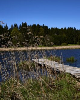 Holzsteg am See im Allgäu