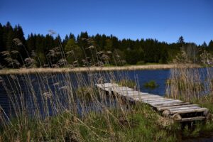 Holzsteg am See im Allgäu