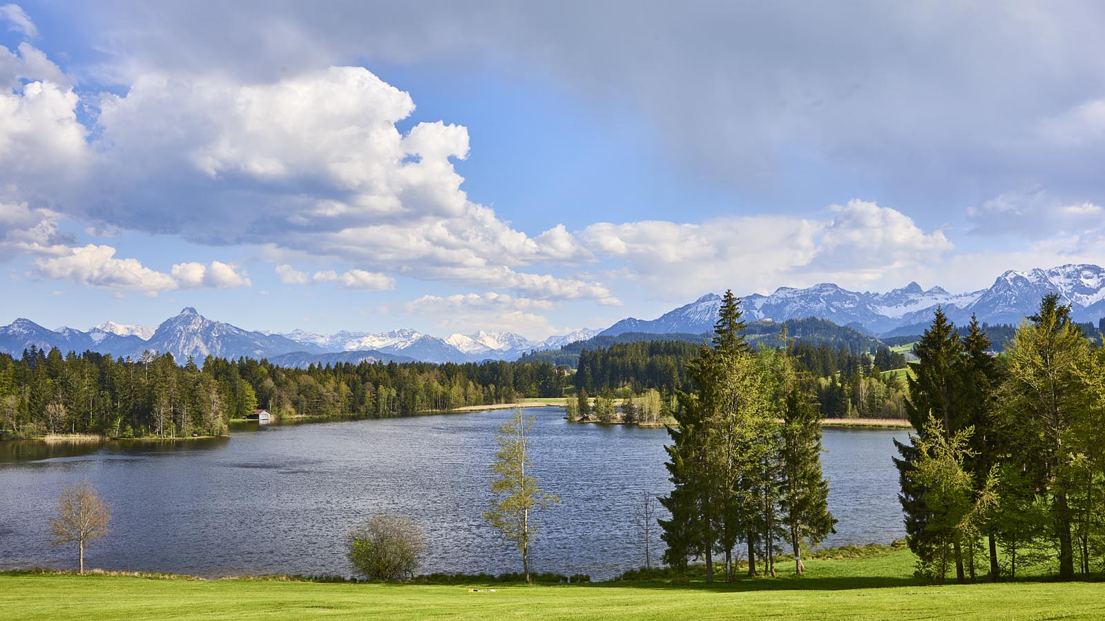 Sommeridylle am See im Allgäu