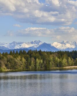 Berglandschaft im Sommer im Allgäu