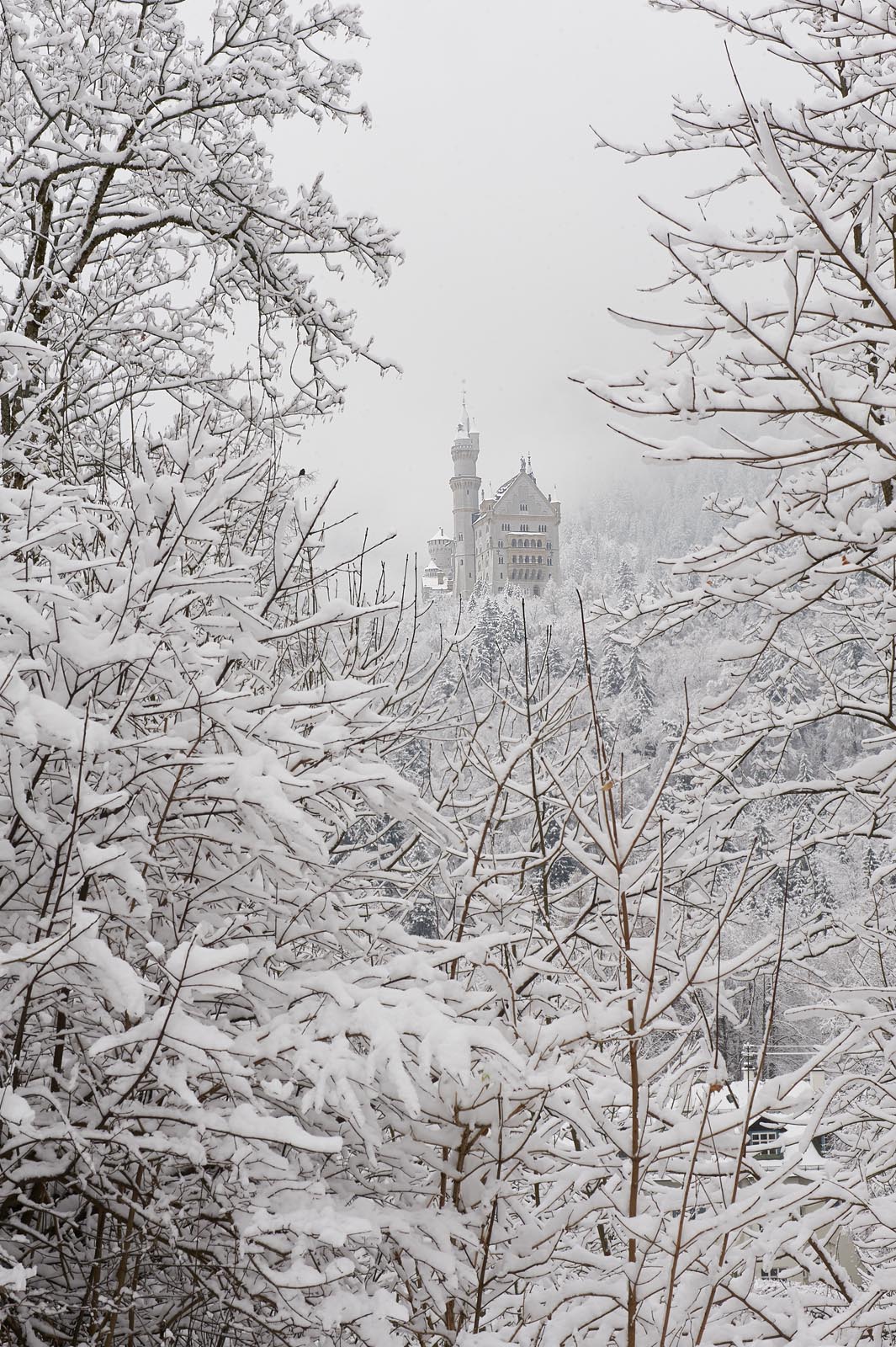 Neuschwanstein im Winterzauber