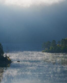 Inselträume am Eibsee