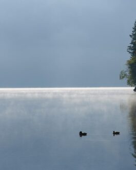 Morgennebel am Eibsee – Tetenal Papier