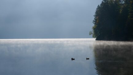 Morgennebel am Eibsee