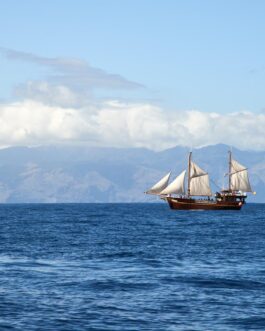 Segelschiff auf dem Ozean