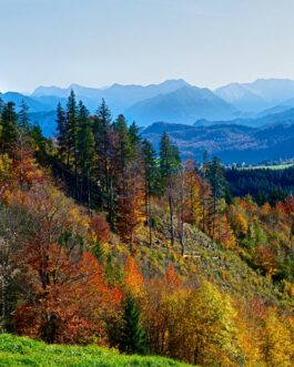 Herbstlandschaft in den Alpen