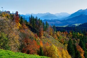 Herbstlandschaft in den Alpen