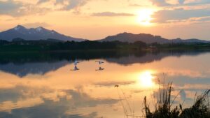 Sonnenuntergang mit Schwänen über dem See