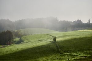 Grüne Hügel im Morgennebel