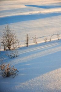 Wintermorgen im Allgäu