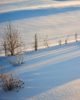 Wintermorgen im Allgäu Hahnemühle German Echtig 310