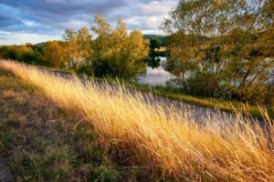 Abendlicht im Saarland