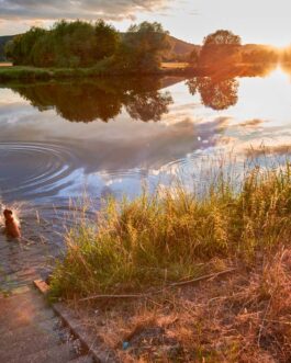 Sonnenuntergang am Fluss in Saarland Photo Luster 260