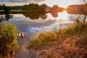 Sonnenuntergang am Fluss in Saarland