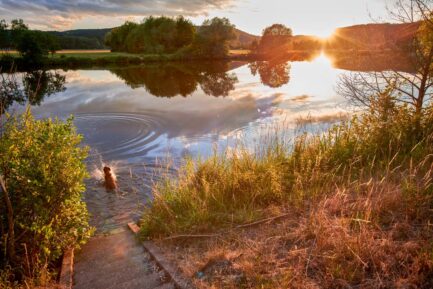 Sonnenuntergang am Fluss in Saarland