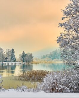 Winterliche Morgenstimmung am See – Einzigartiger Druck auf Hahnemühle Papier