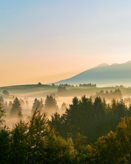 Morgendlicher Nebel über der Landschaft