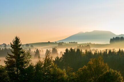 Morgendlicher Nebel über der Landschaft