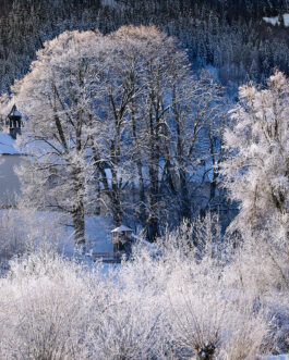 Winterzauber in der Kapellenlandschaft