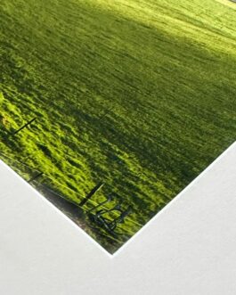 Grüne Hügel im Morgennebel – Hahnemühle Sugar Cane 300