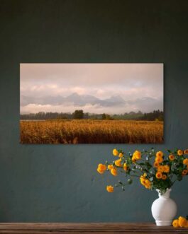 Goldene Felder