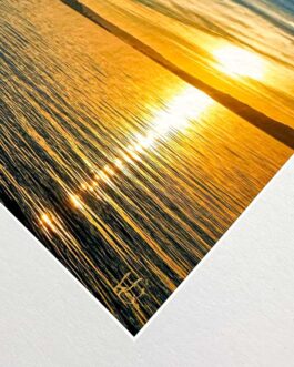 Sonnenuntergang am Bodensee mit Schwänen – Hahnemühle FineArt Torchon 285
